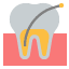 Endodonzia